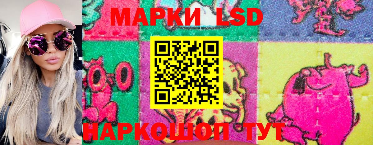 Артём  Марки NBOMe  Марки NBOMe 1,8мг  Вход с VPN  Марки NBOMe 1,8мг 