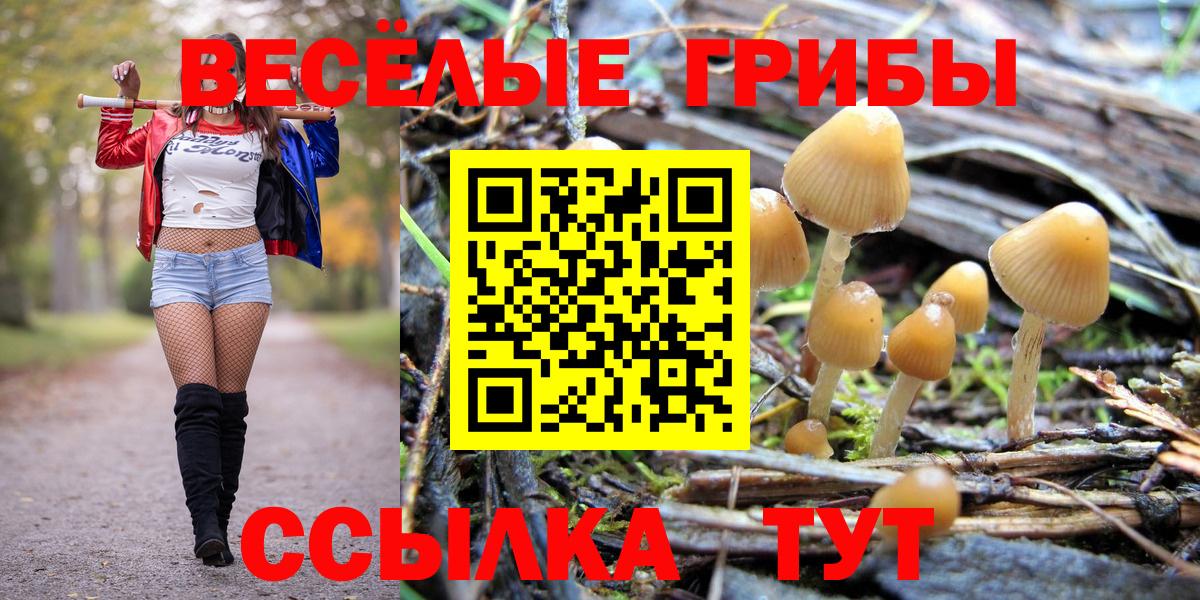 цена наркотик  Галлюциногенные грибы Magic Shrooms  Галлюциногенные грибы мицелий  Вход с VPN  Артём 